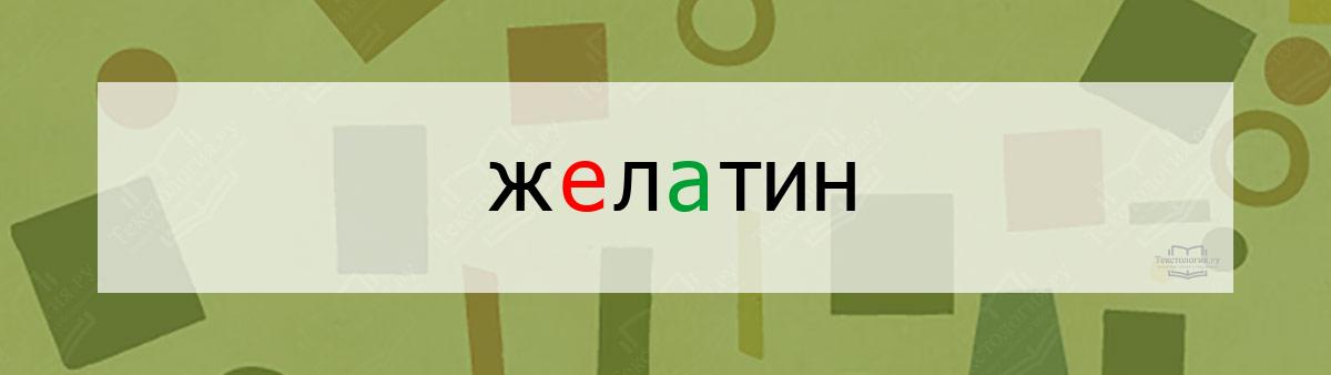 Словарное слово желатин Словарное слово желатин