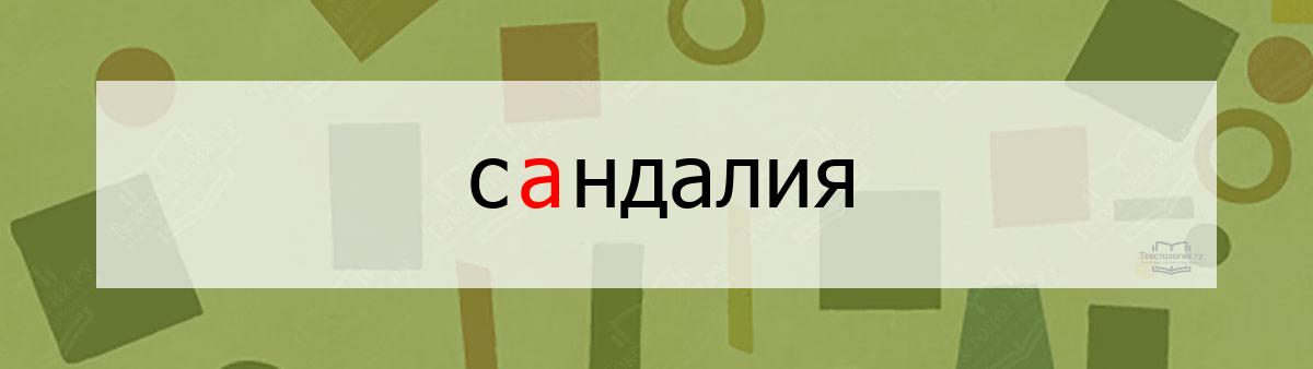 Словарное слово сандалия Словарное слово сандалия